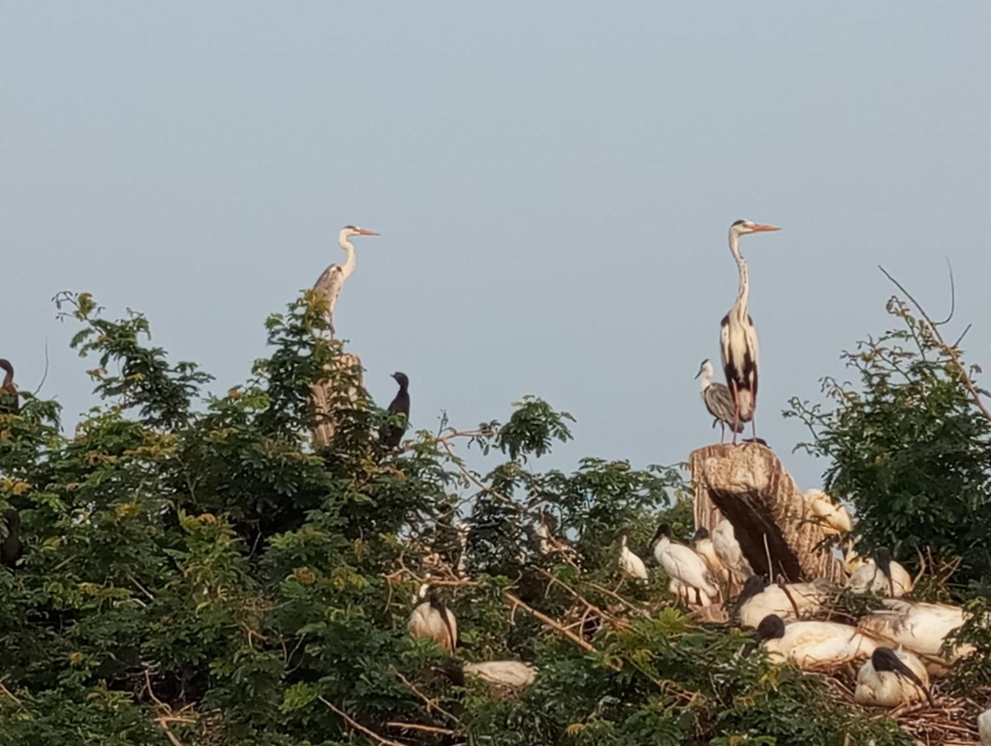 Windy Villa Polonnaruwa Εξωτερικό φωτογραφία