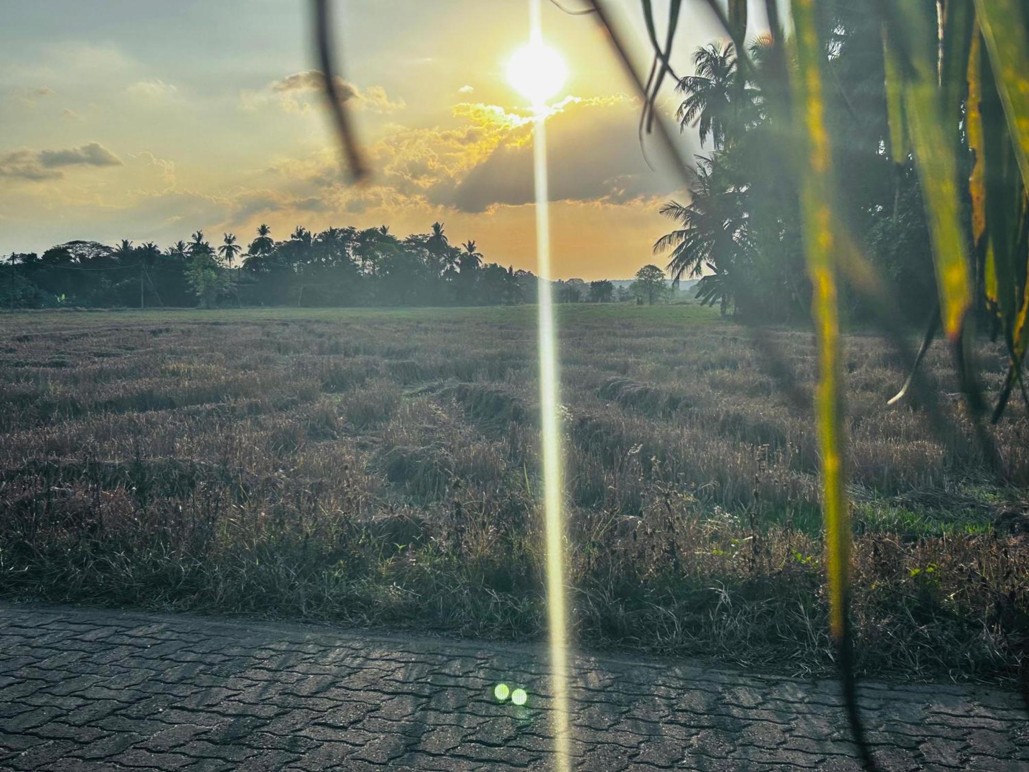 Windy Villa Polonnaruwa Εξωτερικό φωτογραφία