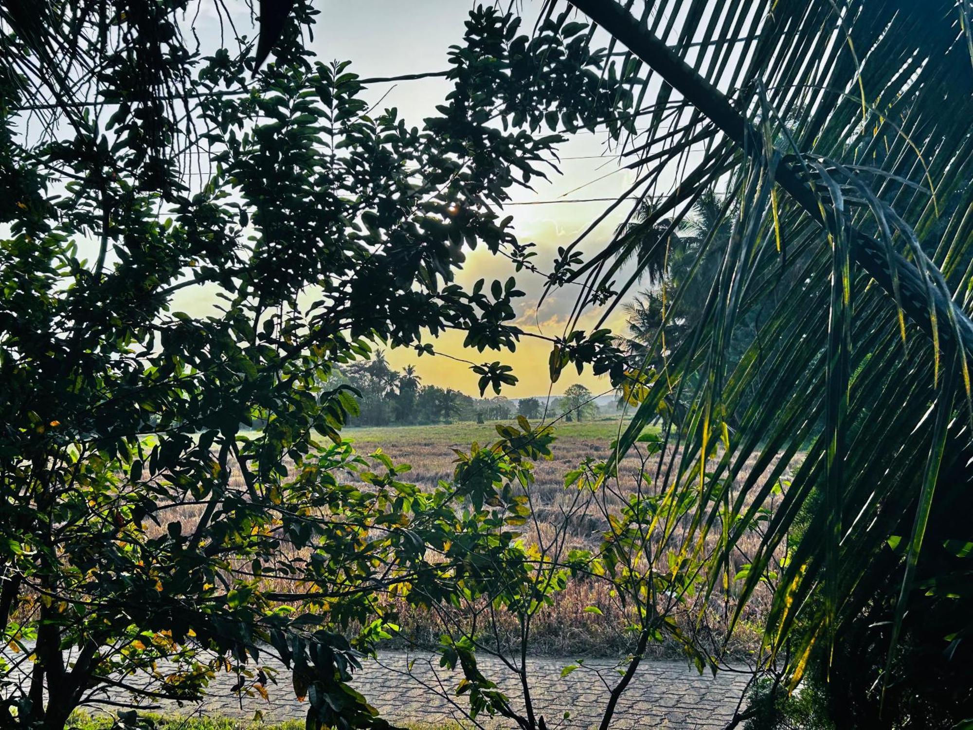 Windy Villa Polonnaruwa Εξωτερικό φωτογραφία